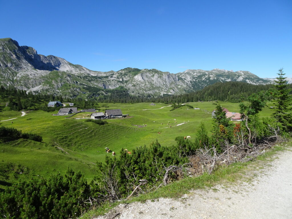 The impressive <i>Sonnschienalm</i>