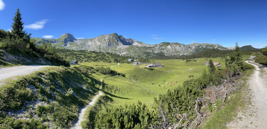 The impressive <i>Sonnschienalm</i>