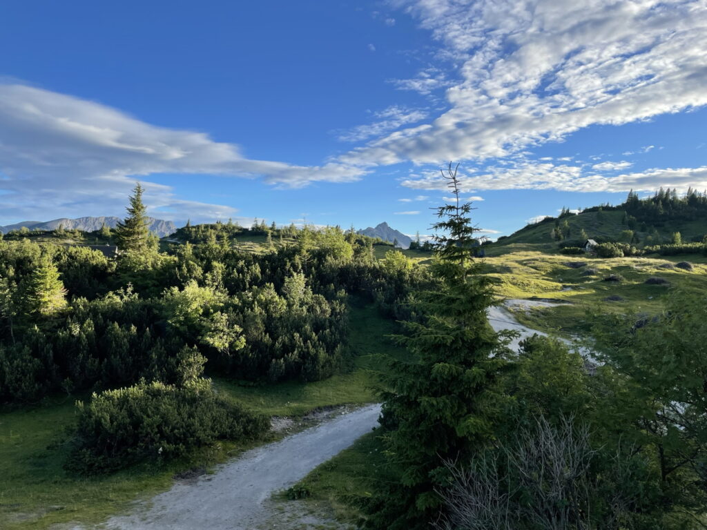 Short before sunset at <i>Sonnschienalm</i>