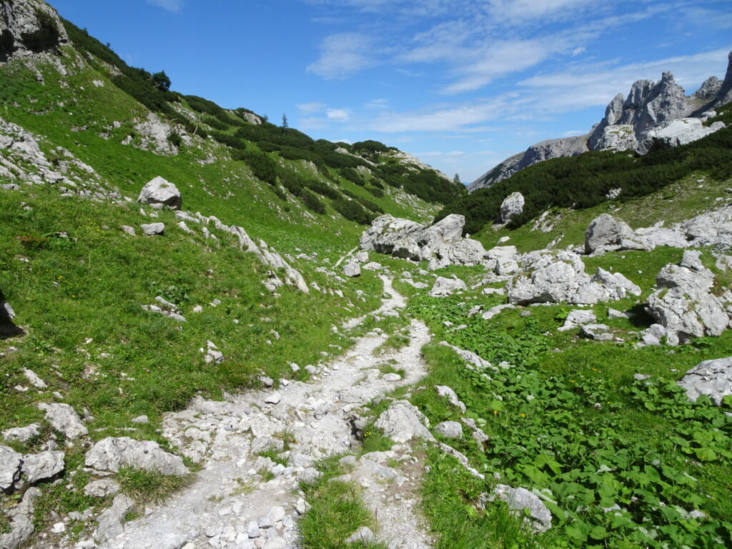 On the trail towards <i>Voisthalerhütte</i>
