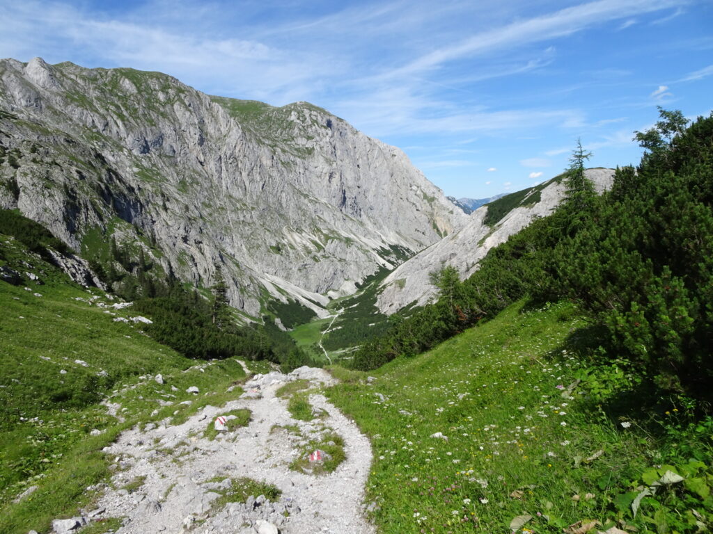 On the trail towards <i>Seewiesen</i>