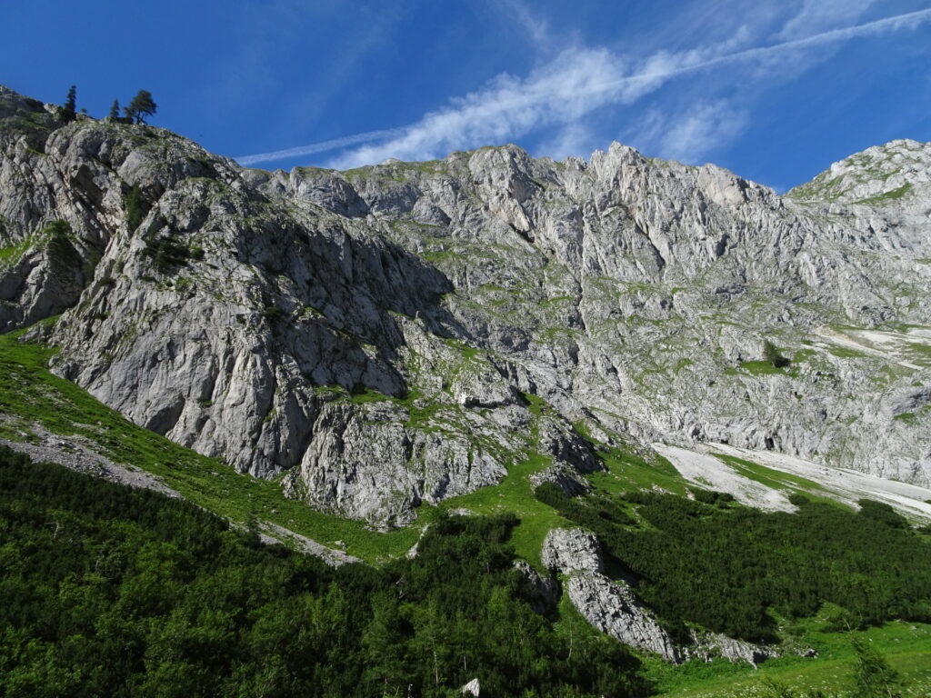 View from the trail towards <i>Seewiesen</i>