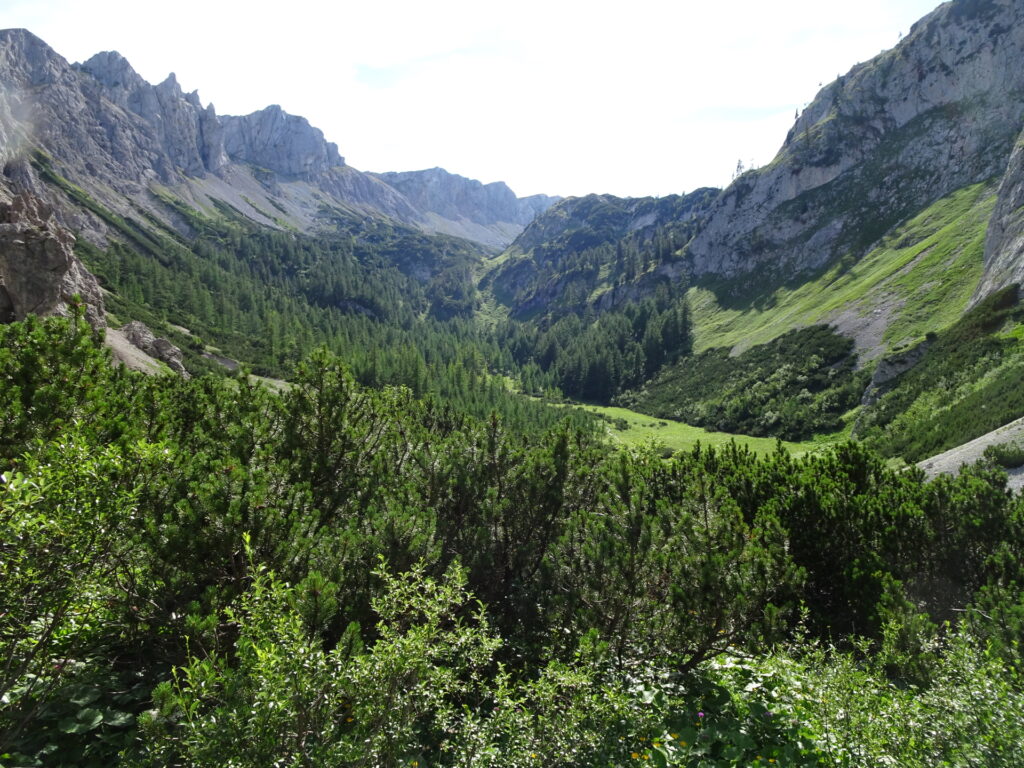 View back from the trail towards <i>Seewiesen</i>