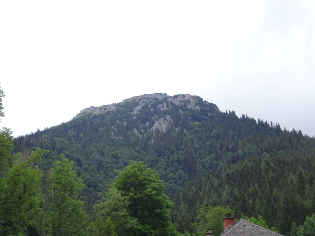 View from <i>Seewiesen</i>