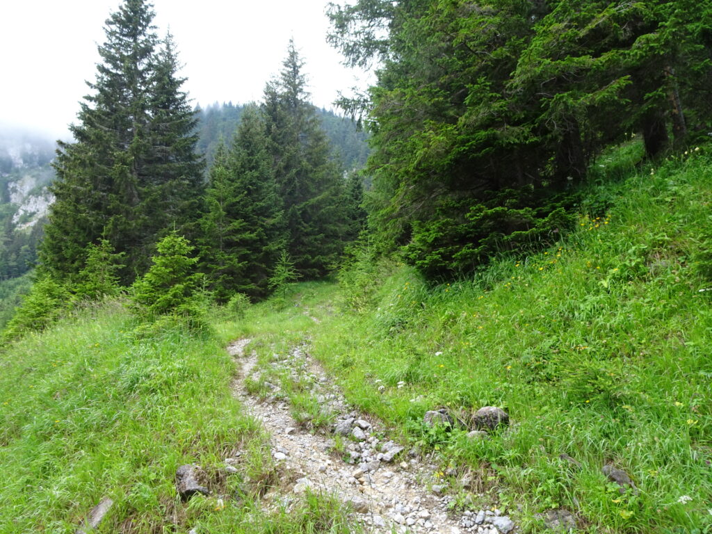 On the trail towards <i>Graualm</i>