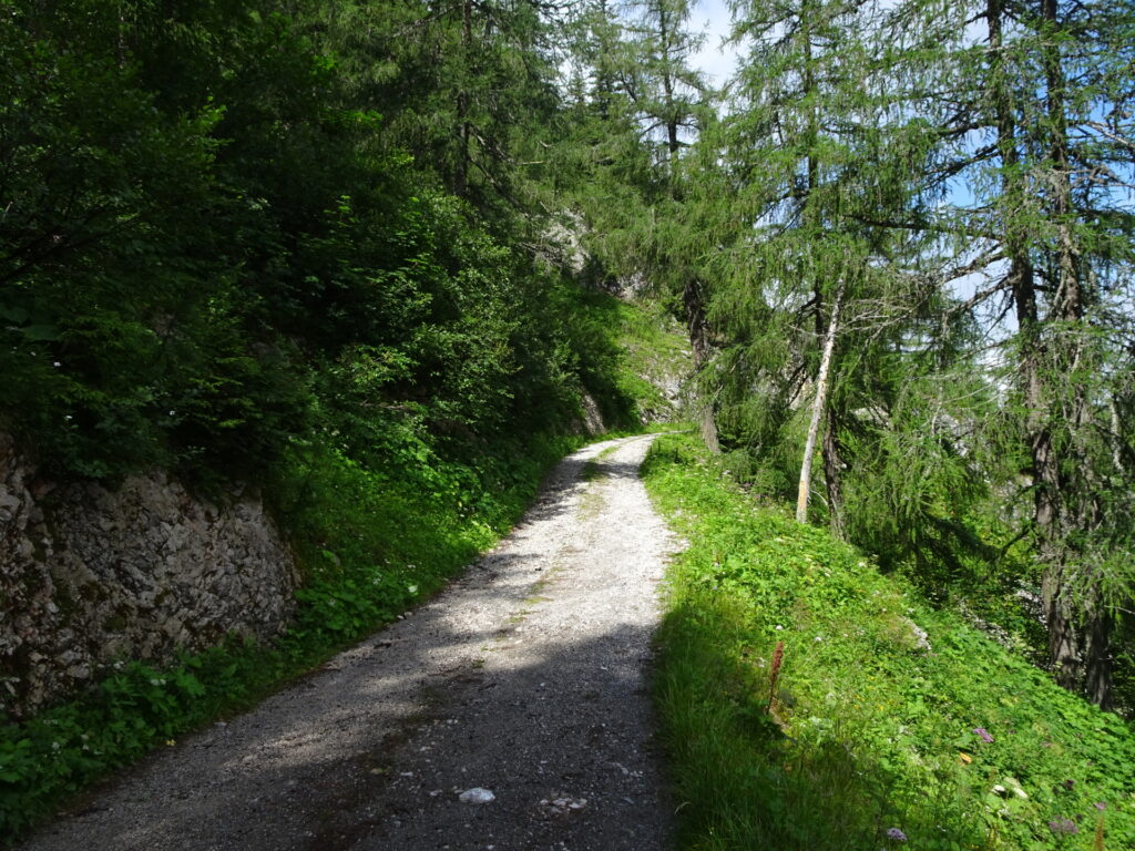On the trail towards <i>Graulalm</i>