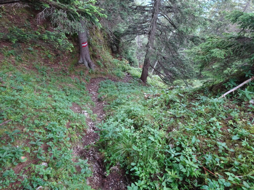 Descending on the very steep trail towards <i>Kastenriegel</i>