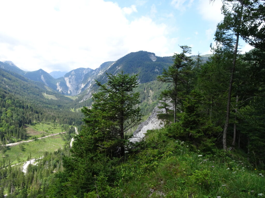 View from the trail