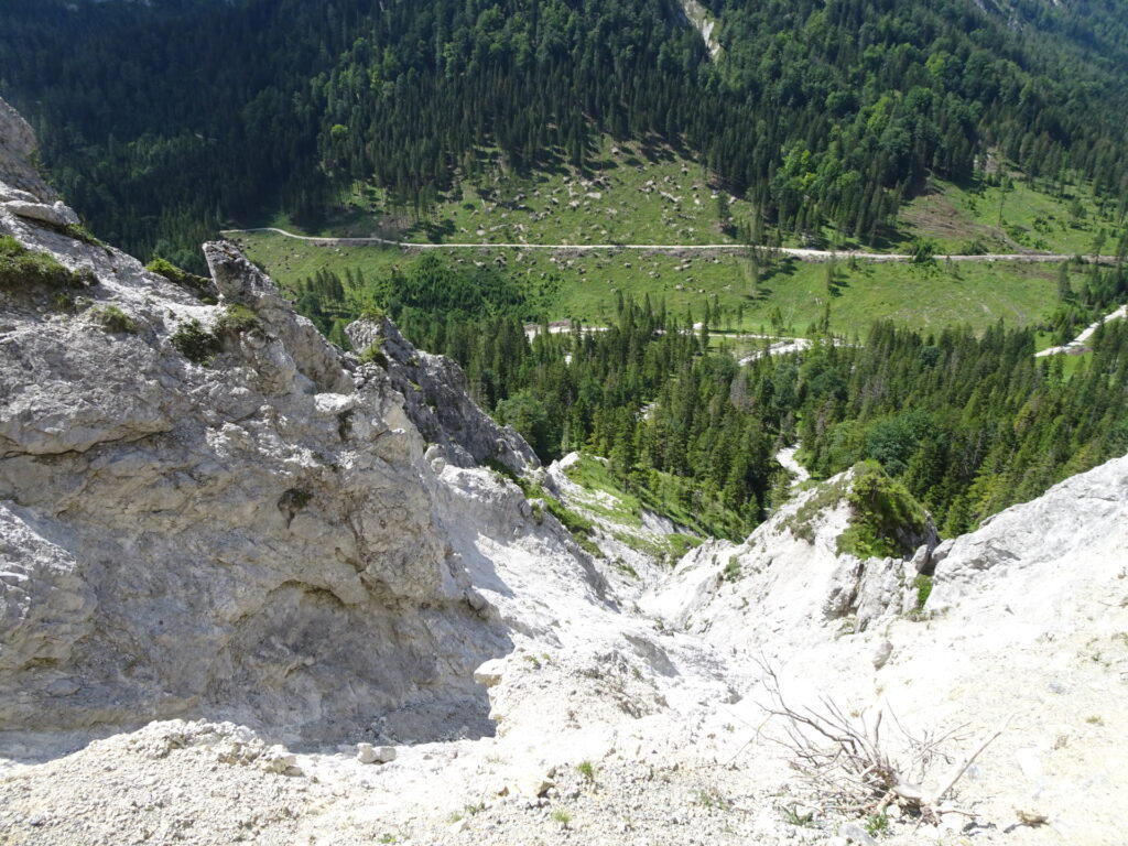 View from the trail