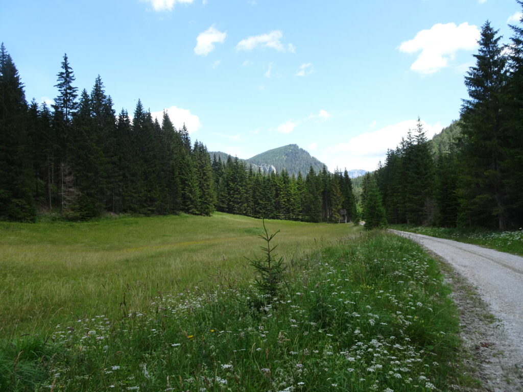 Towards <i>Wegscheid</i>