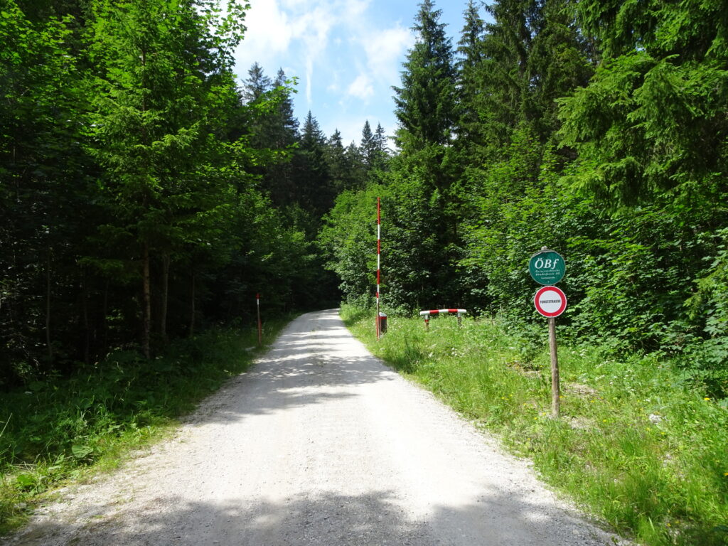 Towards <i>Gußwerk</i>
