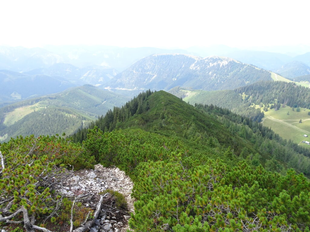 View back from the trail up to <i>Wildkamm</i>