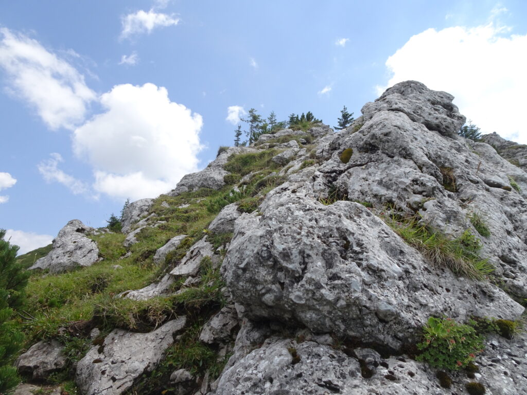 Easy climbing up to <i>Großer Wildkamm</i>
