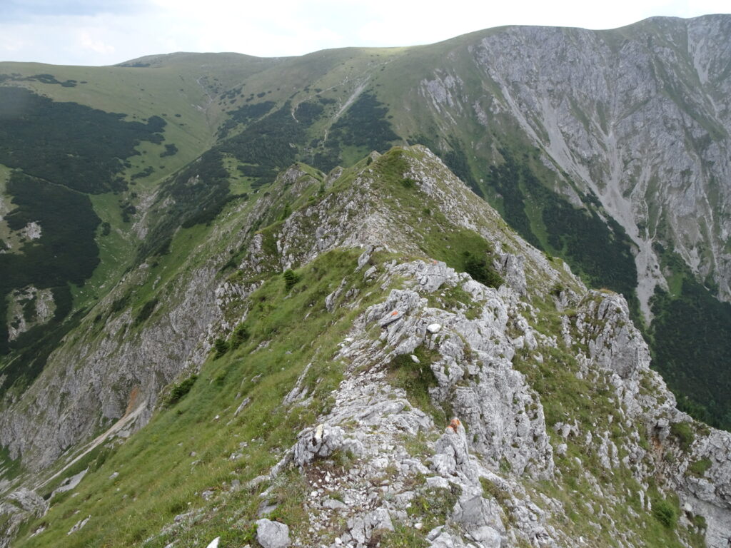 Follow the red dots on the demanding ridge from <i>Großer Wildkamm</i>