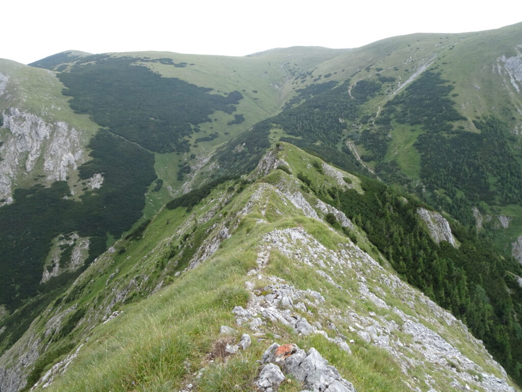 Descending via the ridge from <i>Großer Wildkamm</i>