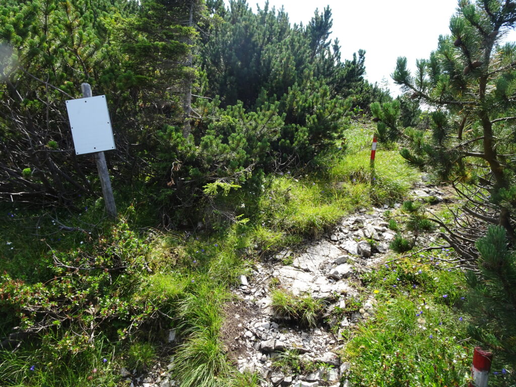 Turn right into this trail at <i>Gingatzwiese</i>