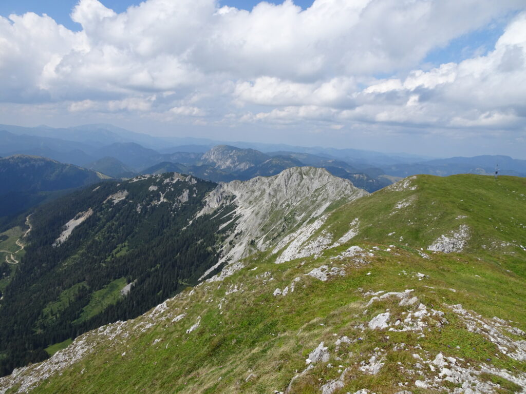 The <i>Wildkamm</i> seen from the summit of <i>Hohe Veitsch</i>
