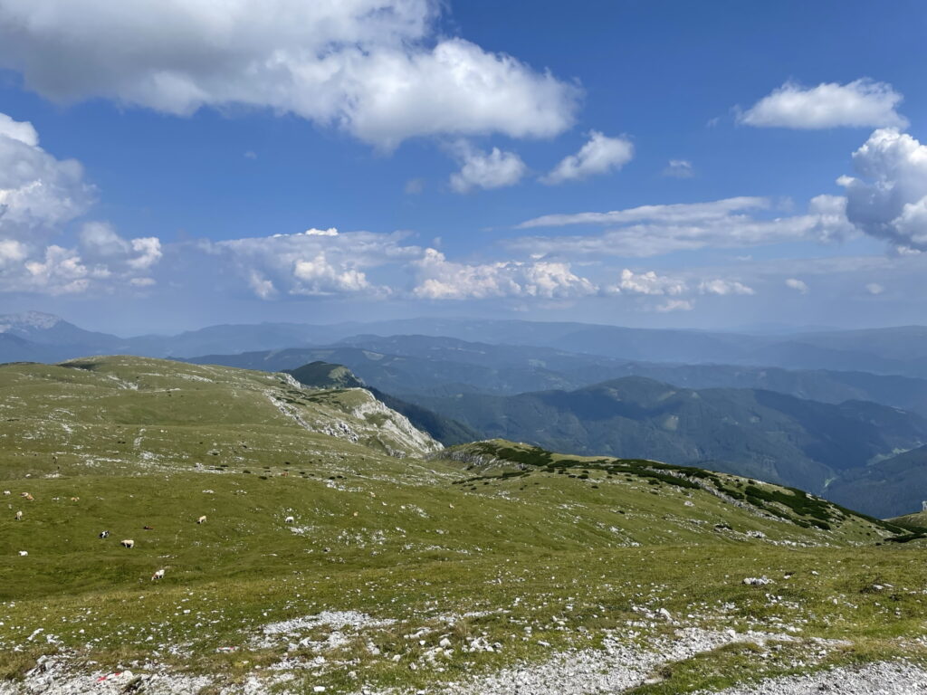 View from the summit of <i>Hohe Veitsch</i>