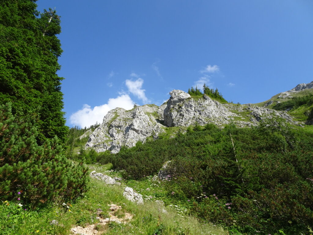 View from the trail back to <i>Niederalpl</i>