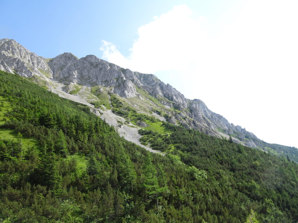 View from the trail back to <i>Niederalpl</i>