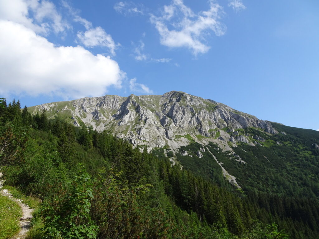 View back to <i>Hohe Veitsch</i>