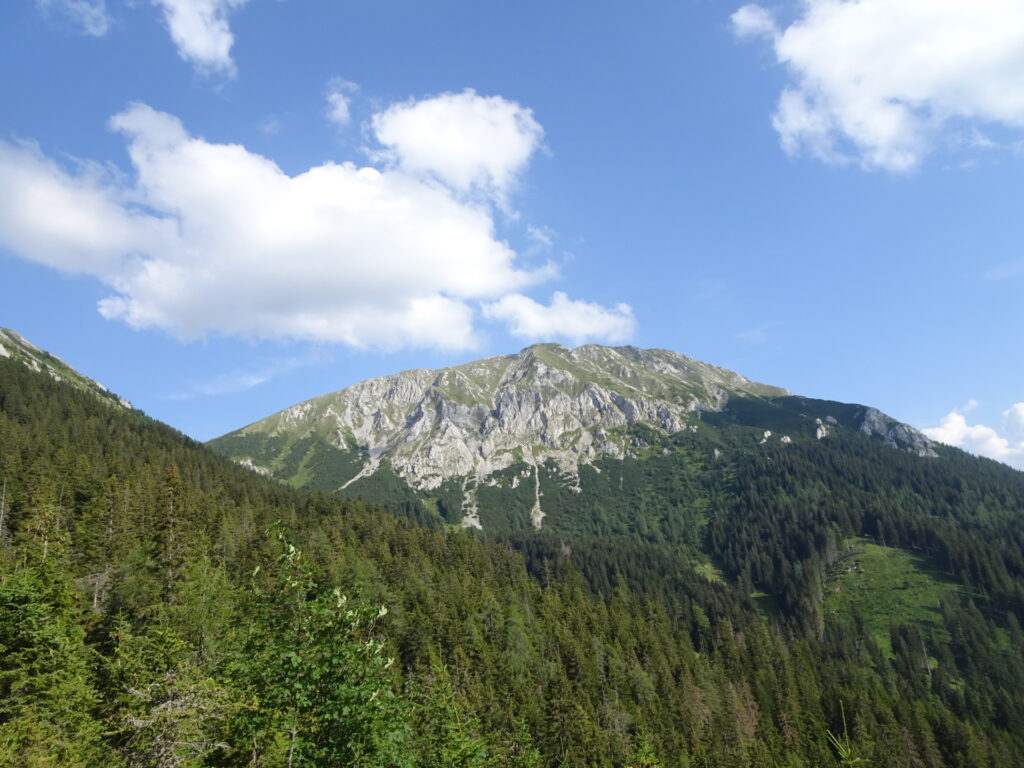 View back to <i>Hohe Veitsch</i>