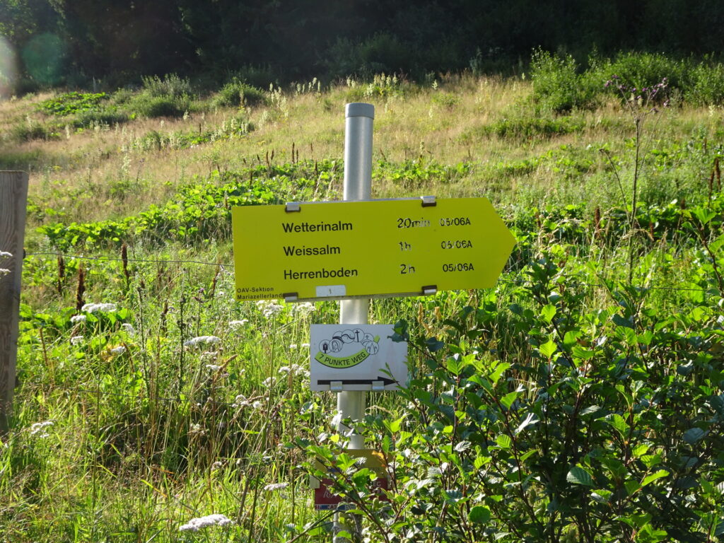 Follow the trail towards <i>Wetterinalm</i>