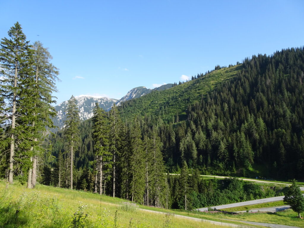 View from the trail towards <i>Wetterinalm</i>