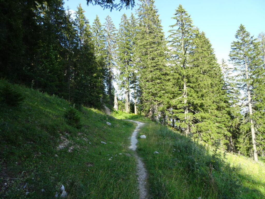 Trail towards <i>Wetterinalm</i>