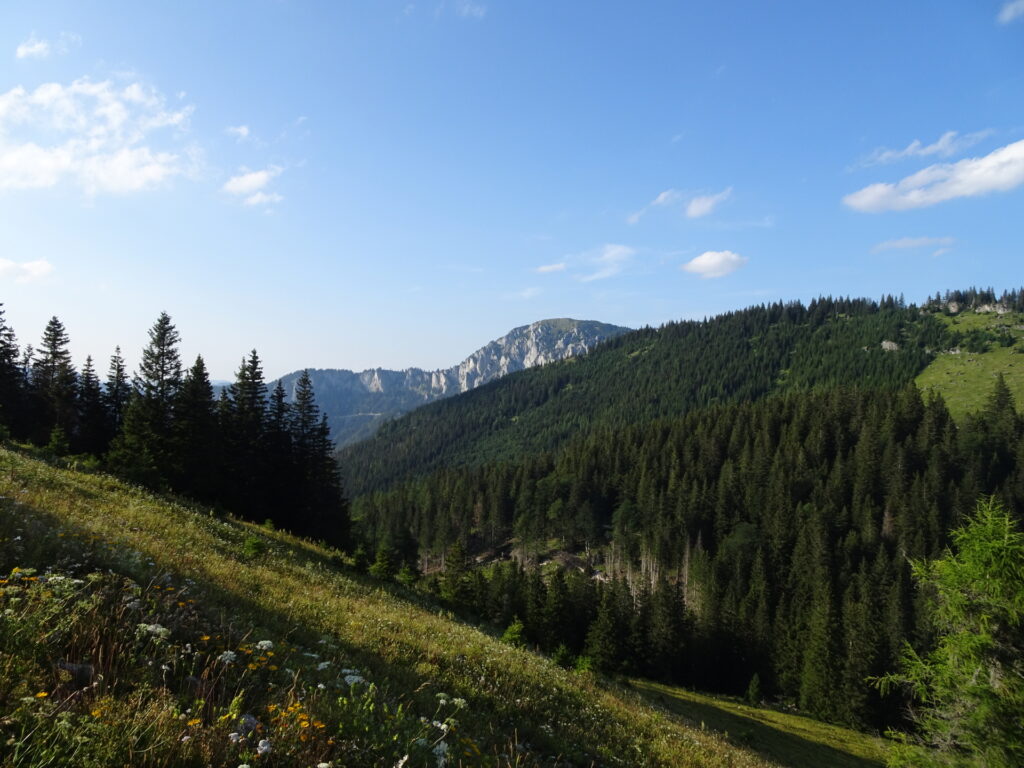 View from the trail up to <i>Wetterin</i>