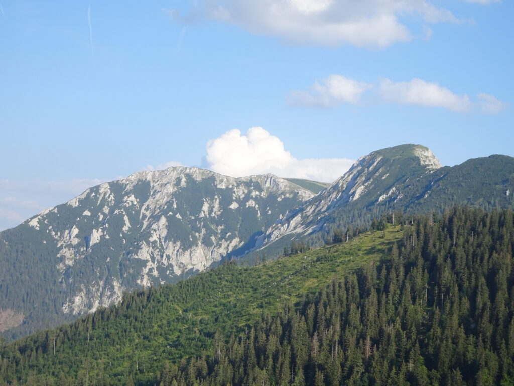 View towards <i>Wildkamm</i> from the trail