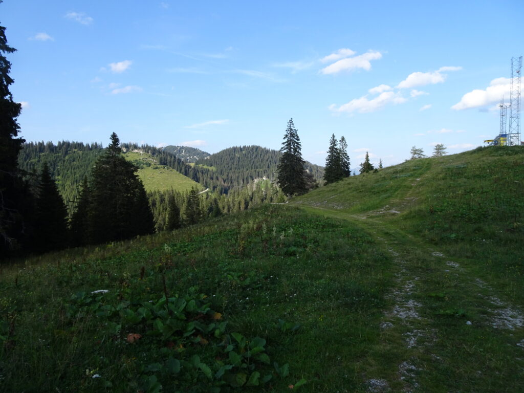 View back on the trail from <i>Wetterinalm</i>