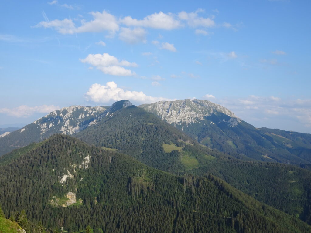 View towards <i>Wildkamm</i> and <i>Hohe Veitsch</i>