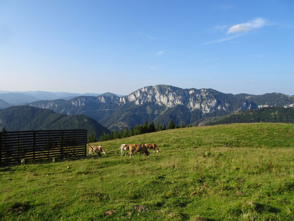 View from the summit of <i>Wetterin</i>