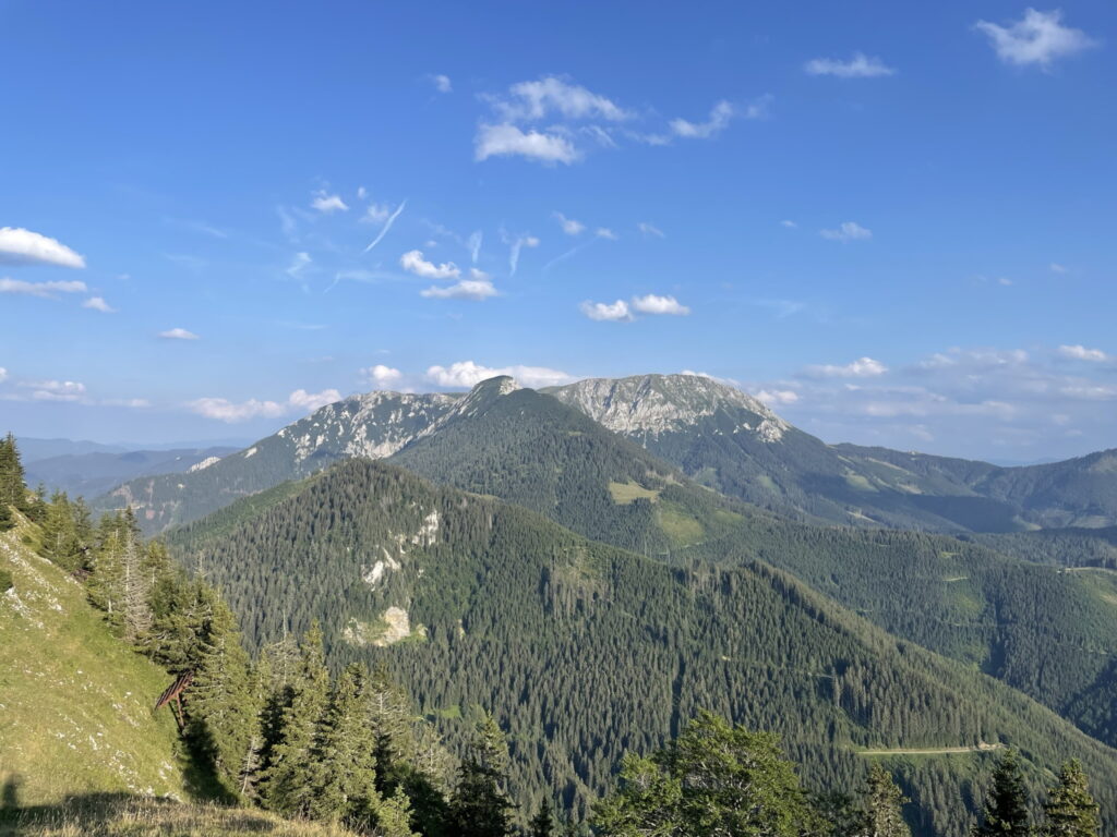 View towards <i>Wildkamm</i> and <i>Hohe Veitsch</i> from <i>Wetterin</i>