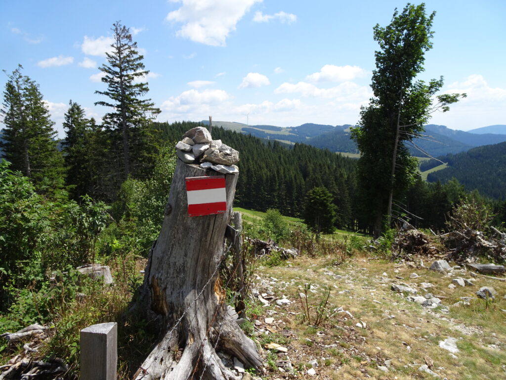 On the trail towards <i>Stoahandhütte</i>