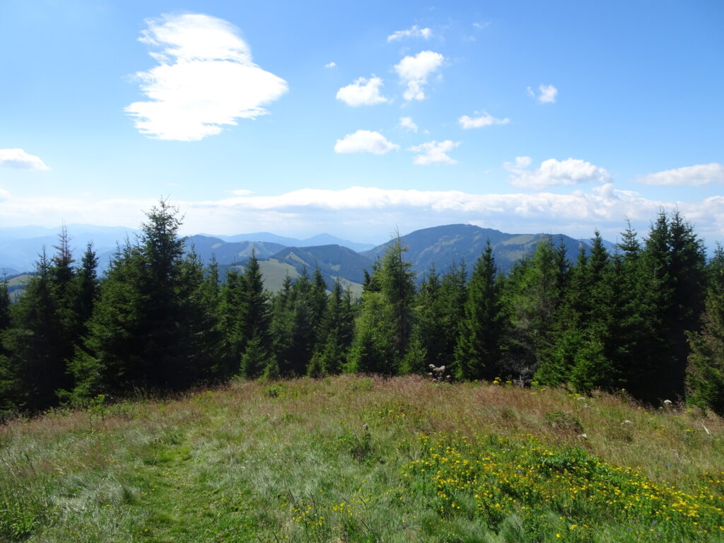 View from the summit of <i>Osser</i>