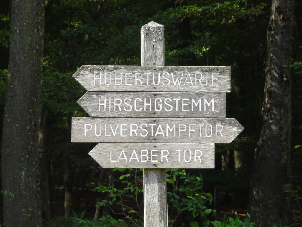 Follow the trail towards <i>Hubertuswarte</i>