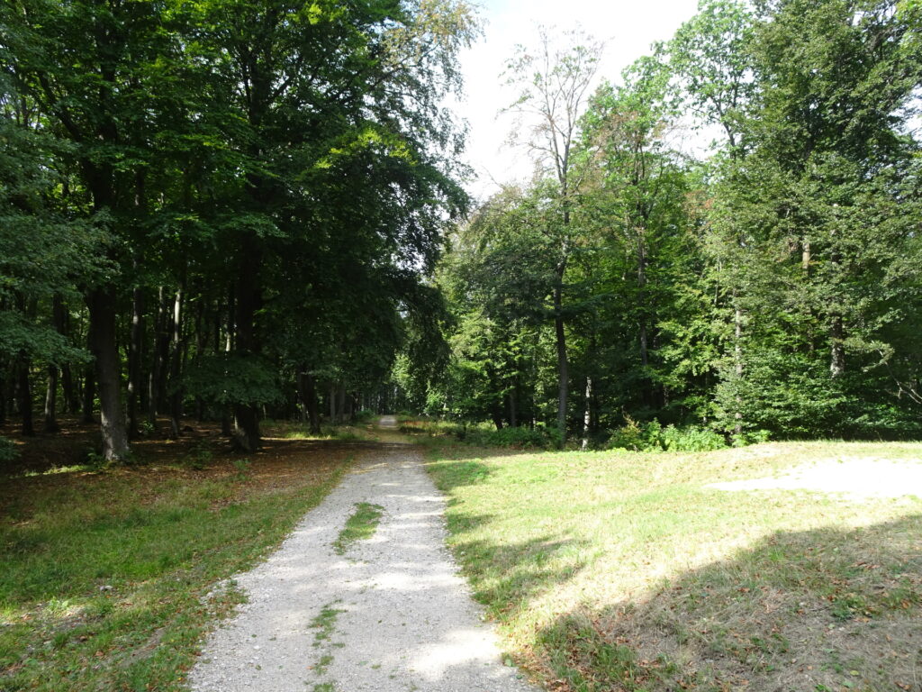 On the trail towards <i>Hornauskogel</i>
