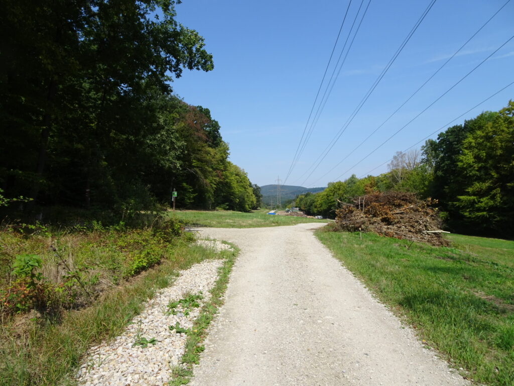 Trail towards <i>Weidlingau</i>