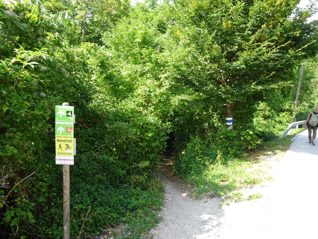 Trail towards <i>Schutzengelberg</i>