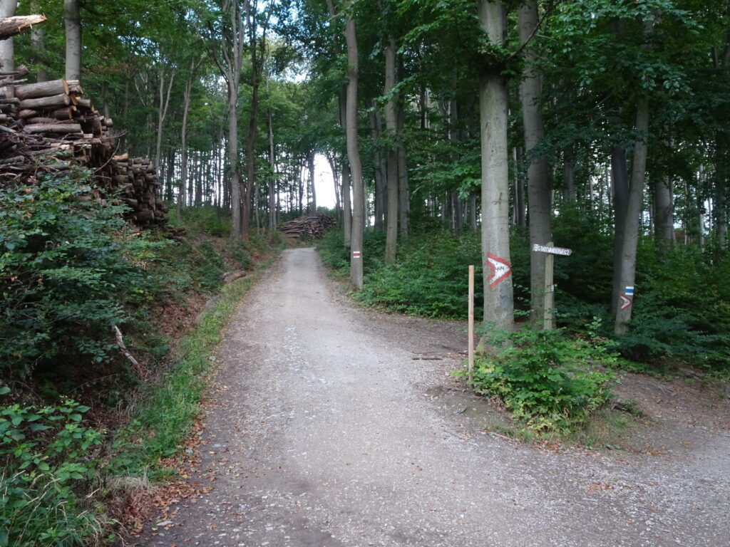 Following the <i>Grenzweg</i>