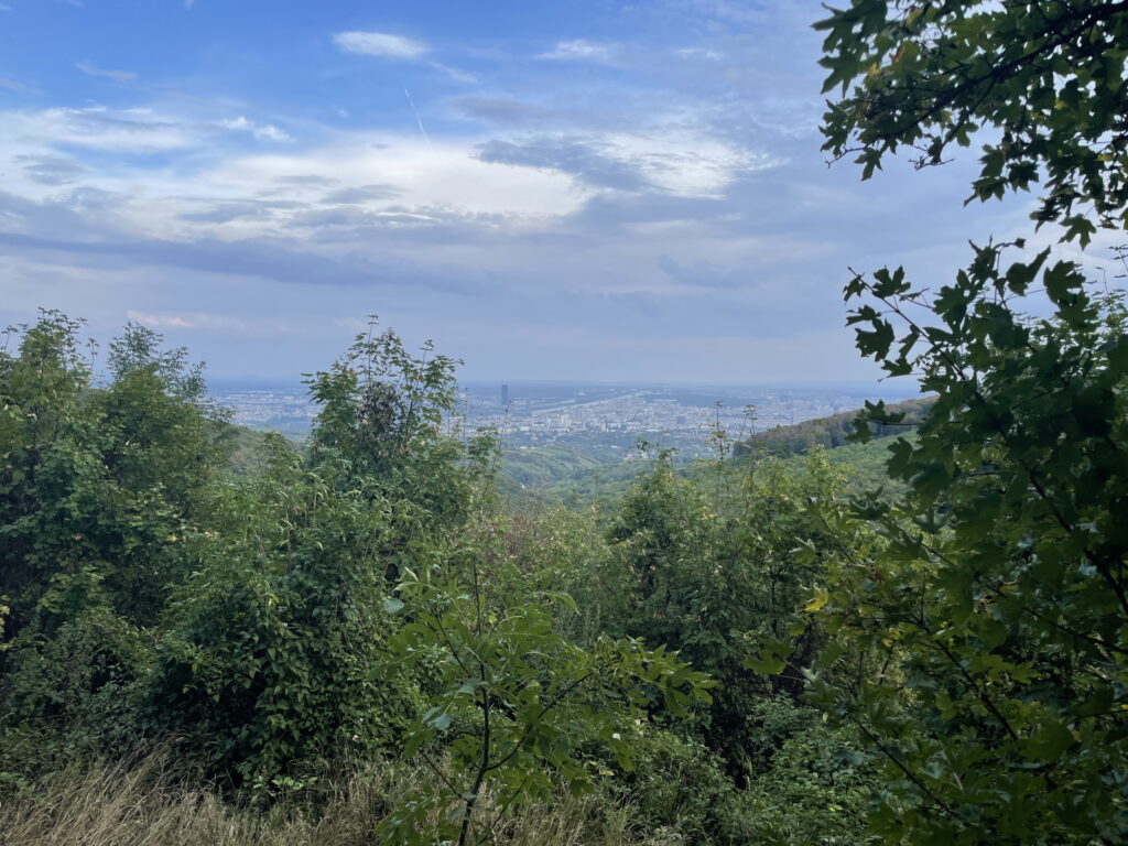 View from <i>Vogelsangberg</i>