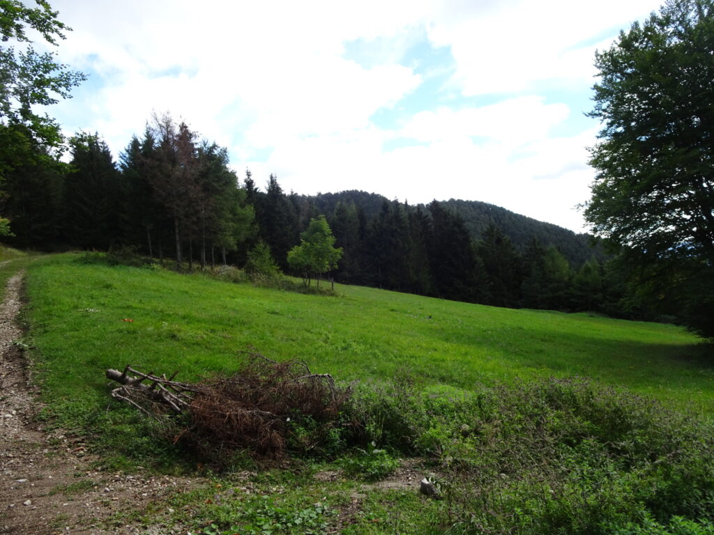 On the trail towards <i>Bettelmannkreuz</i>