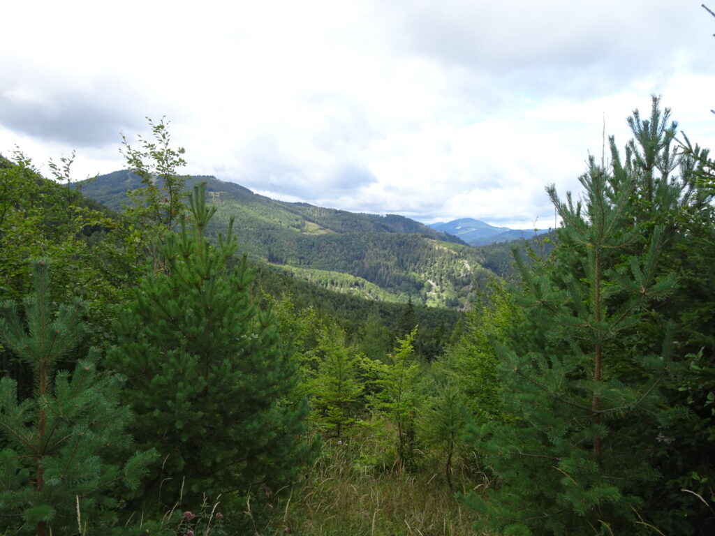 View from the trail towards <i>Enzianhütte</i>
