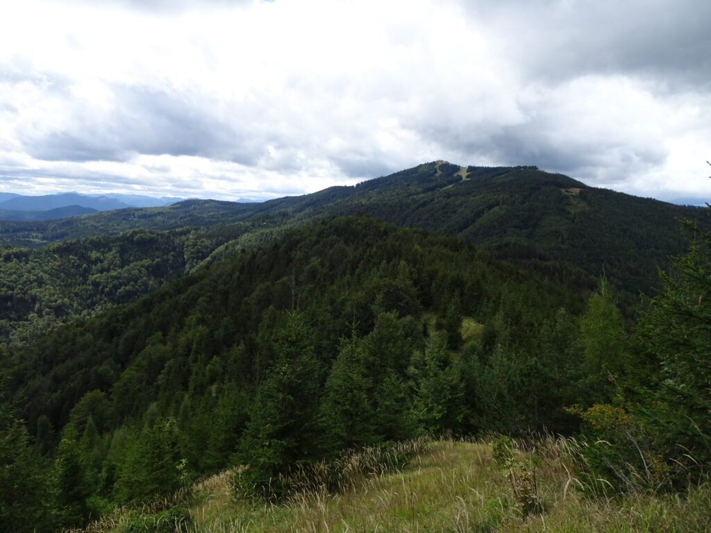 View towards <i>Unterberg</i> (Detour: <i>Kirchwaldberg</i>)
