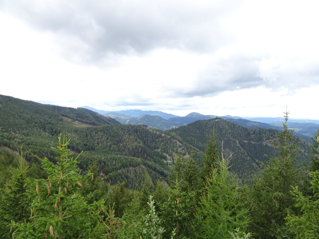 View from <i>Kirchwaldberg</i>