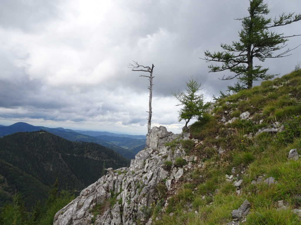 View from <i>Kirchwaldberg</i>