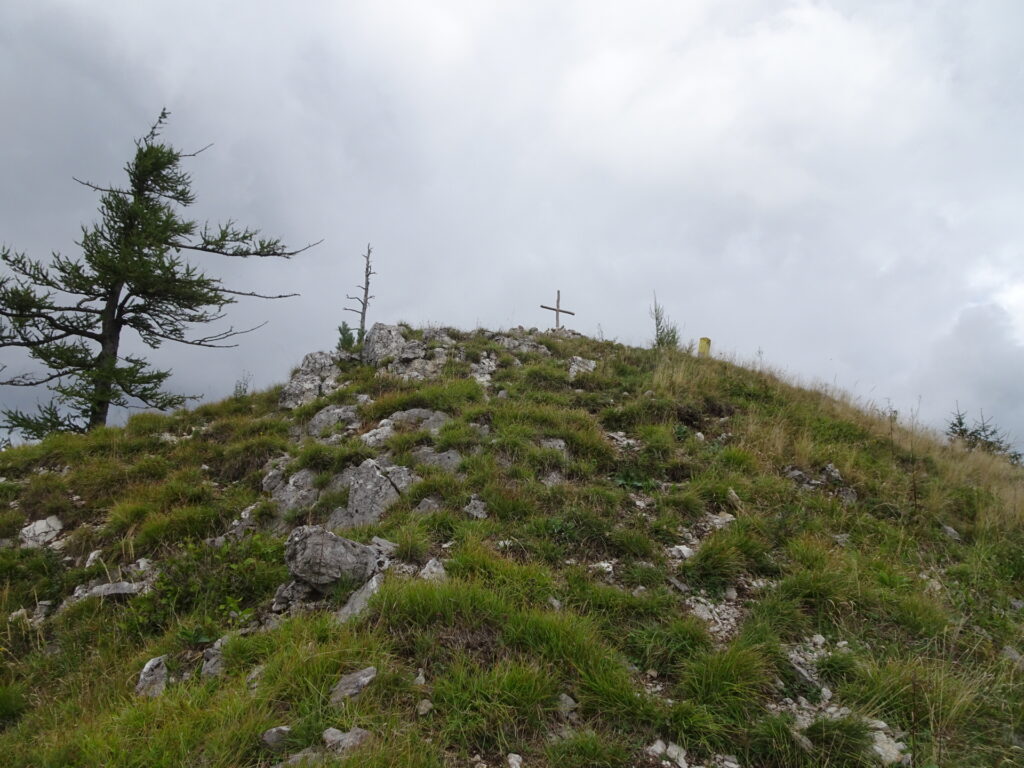 Approaching the summit of <i>Kirchwaldberg</i> (Detour)