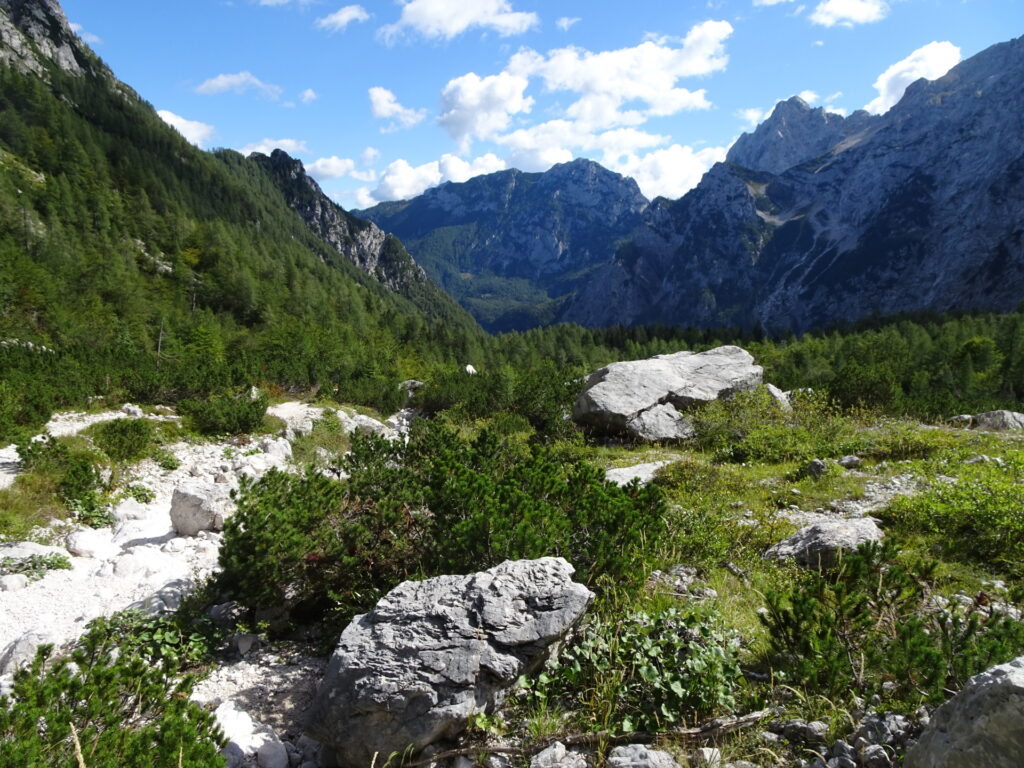 View back from the trail towards <i>Savinjsko sedlo</i>